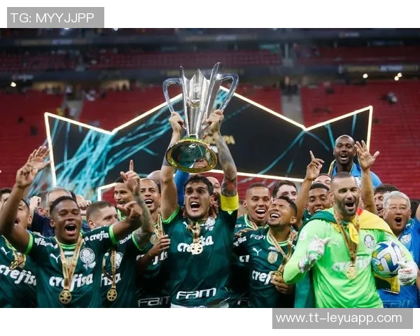 巴西足球盛事帕尔梅拉斯与弗拉门戈争夺南美解放者杯冠军